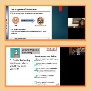 BRIGHT Session during online learning