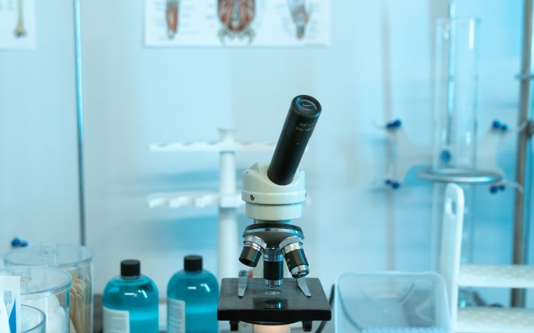 Differences Between Medical School and Faculty of Biology​