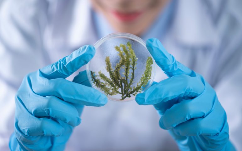 INTERESTINGLY FUN FACTS ABOUT BIOTECHNOLOGY