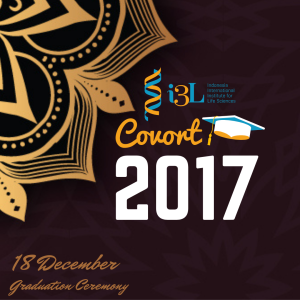 i3L graduation ceremony cohort 2017